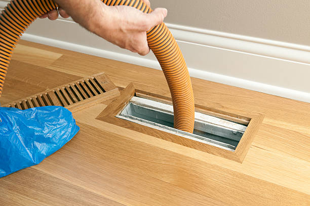 Best Professional Duct Cleaning Services  in Palatka, FL